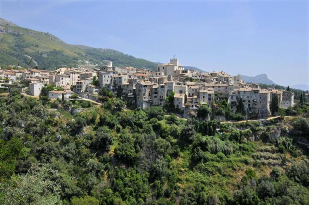 Camping Hotel Les Rives Du Loup Tourrettes-sur-Loup Dış mekan fotoğraf