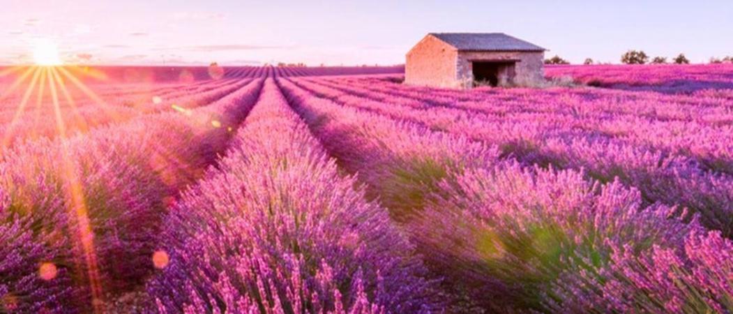 Camping Hotel Les Rives Du Loup Tourrettes-sur-Loup Dış mekan fotoğraf